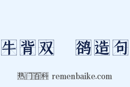 牛背双鸜鹆造句是什么意思的图片